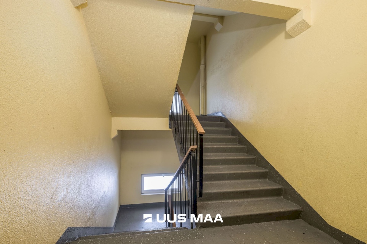 Tallinn, Lasnamäe linnaosa, Punane 65