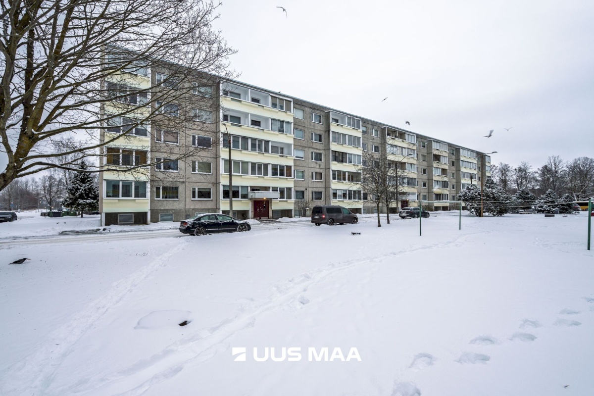 Tallinn, Lasnamäe linnaosa, Punane 65