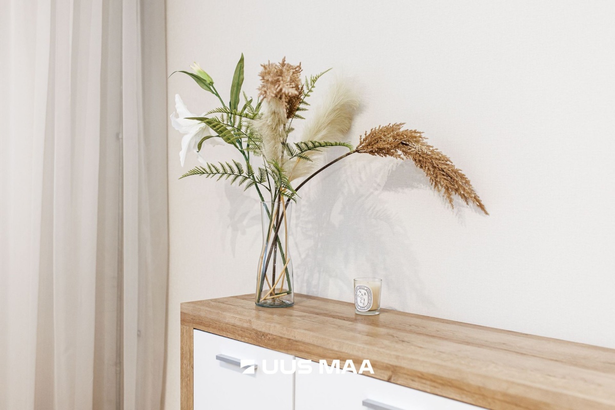 Tallinn, Kristiine linnaosa, Lilleküla, Endla 92