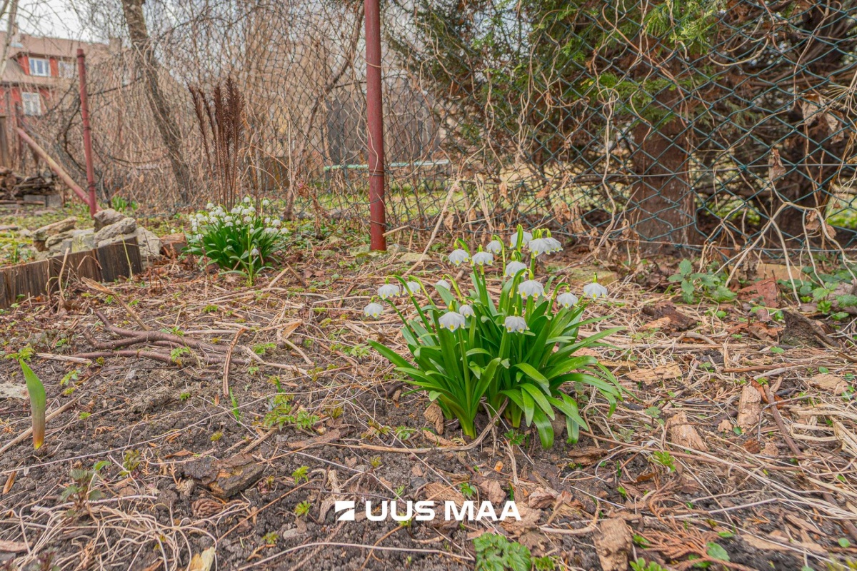 Tallinn, Põhja-Tallinna linnaosa, Kalamaja, Tööstuse 11/2