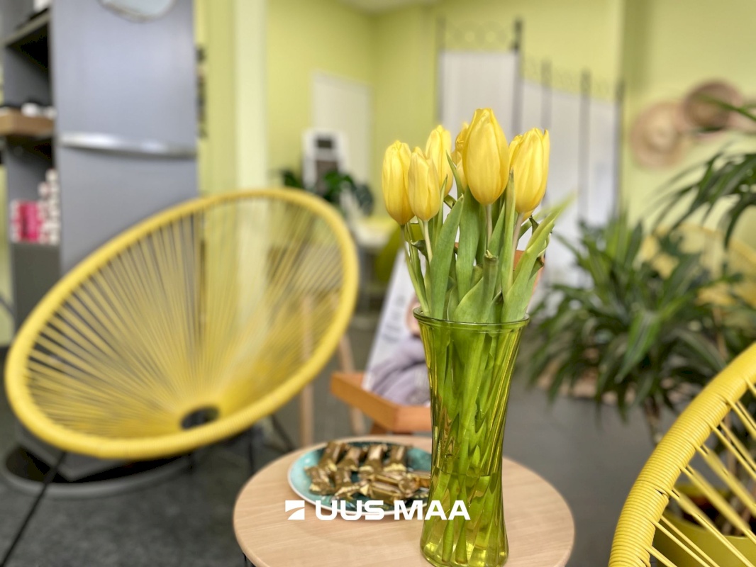 Pärnu linn, Pärnu linn, Kesklinn, Akadeemia 7