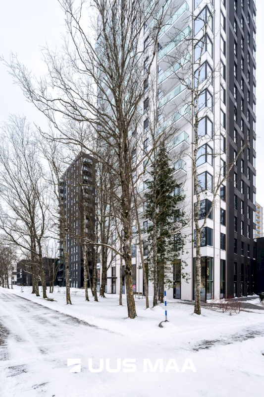 Tallinn, Mustamäe linnaosa, Päevalille 8