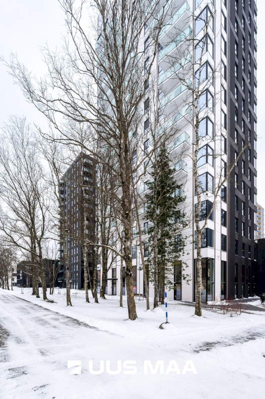 Tallinn, Mustamäe linnaosa, Päevalille 8