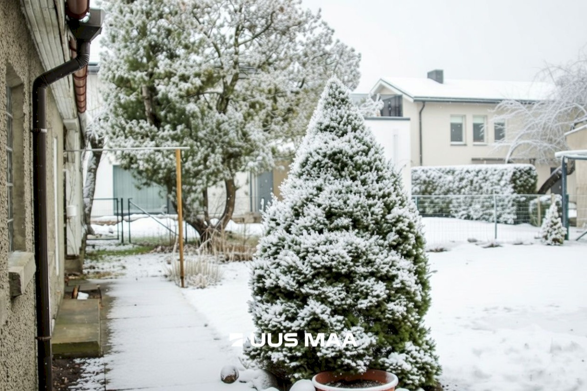 Pärnu linn, Pärnu linn, Rannarajoon, Karusselli tn 82