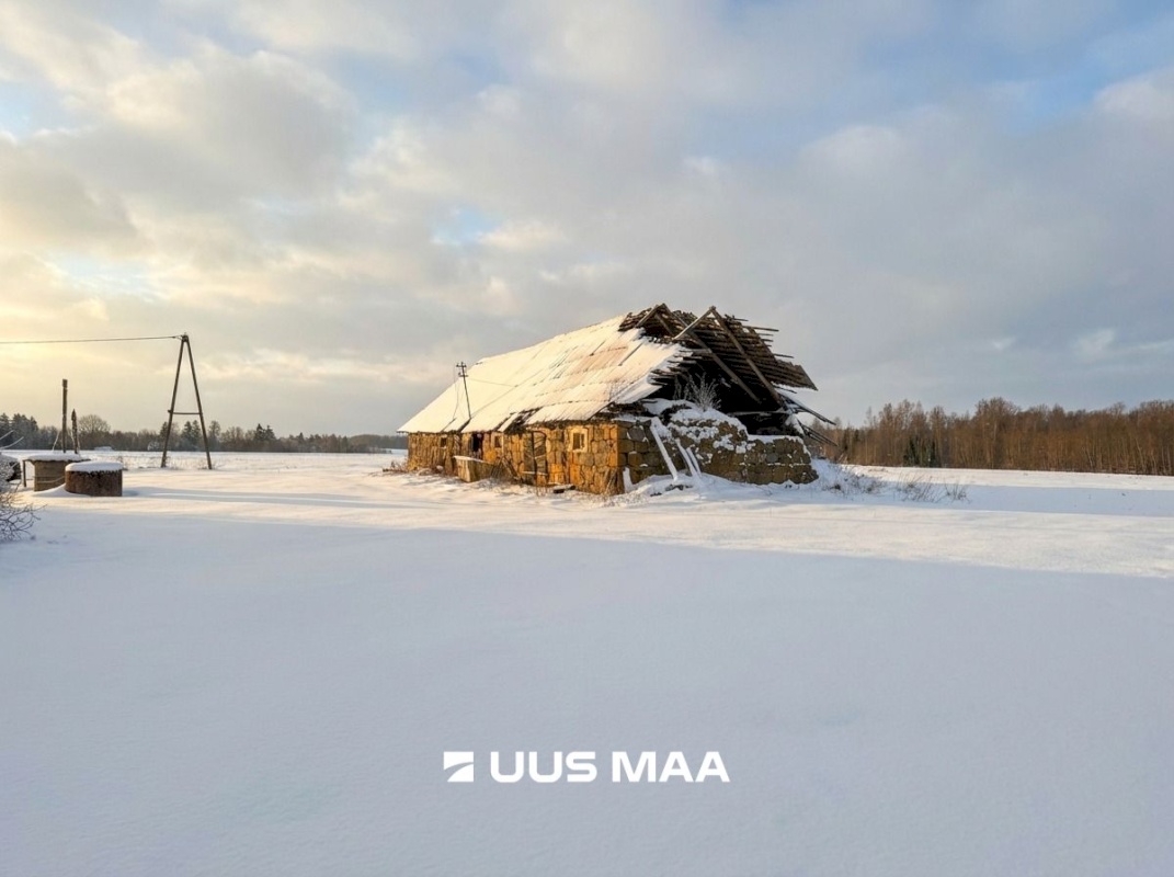 Tartu vald, Otslava küla, Kaselinnu