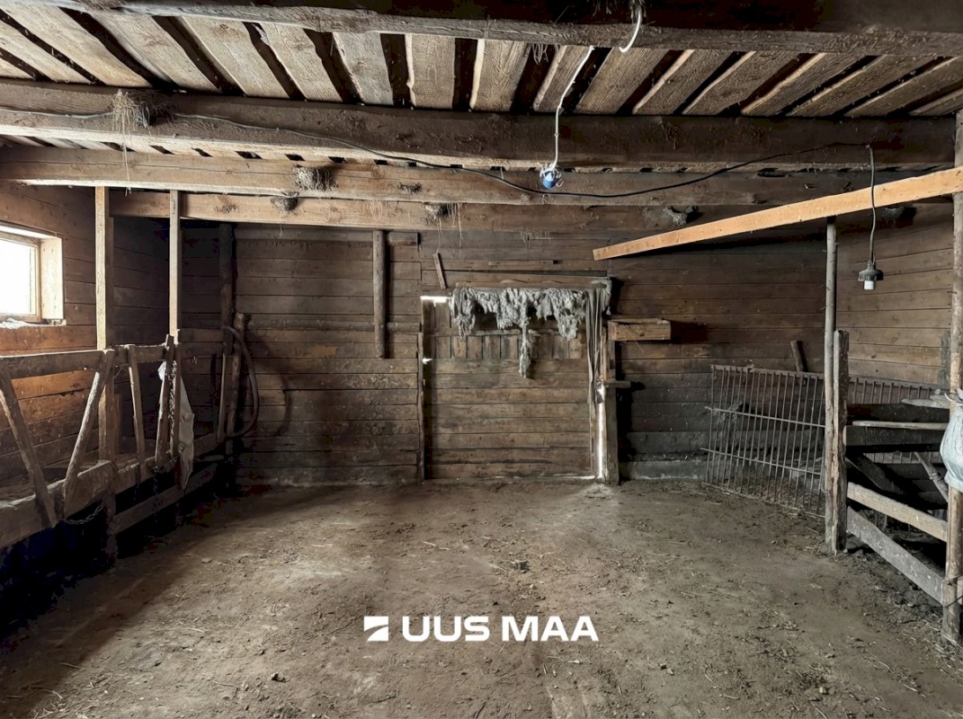 Tartu vald, Otslava küla, Kaselinnu