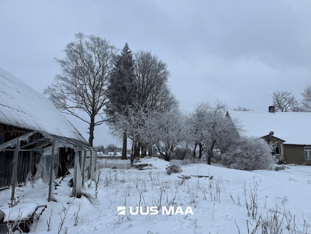 Tartu vald, Otslava küla, Kaselinnu