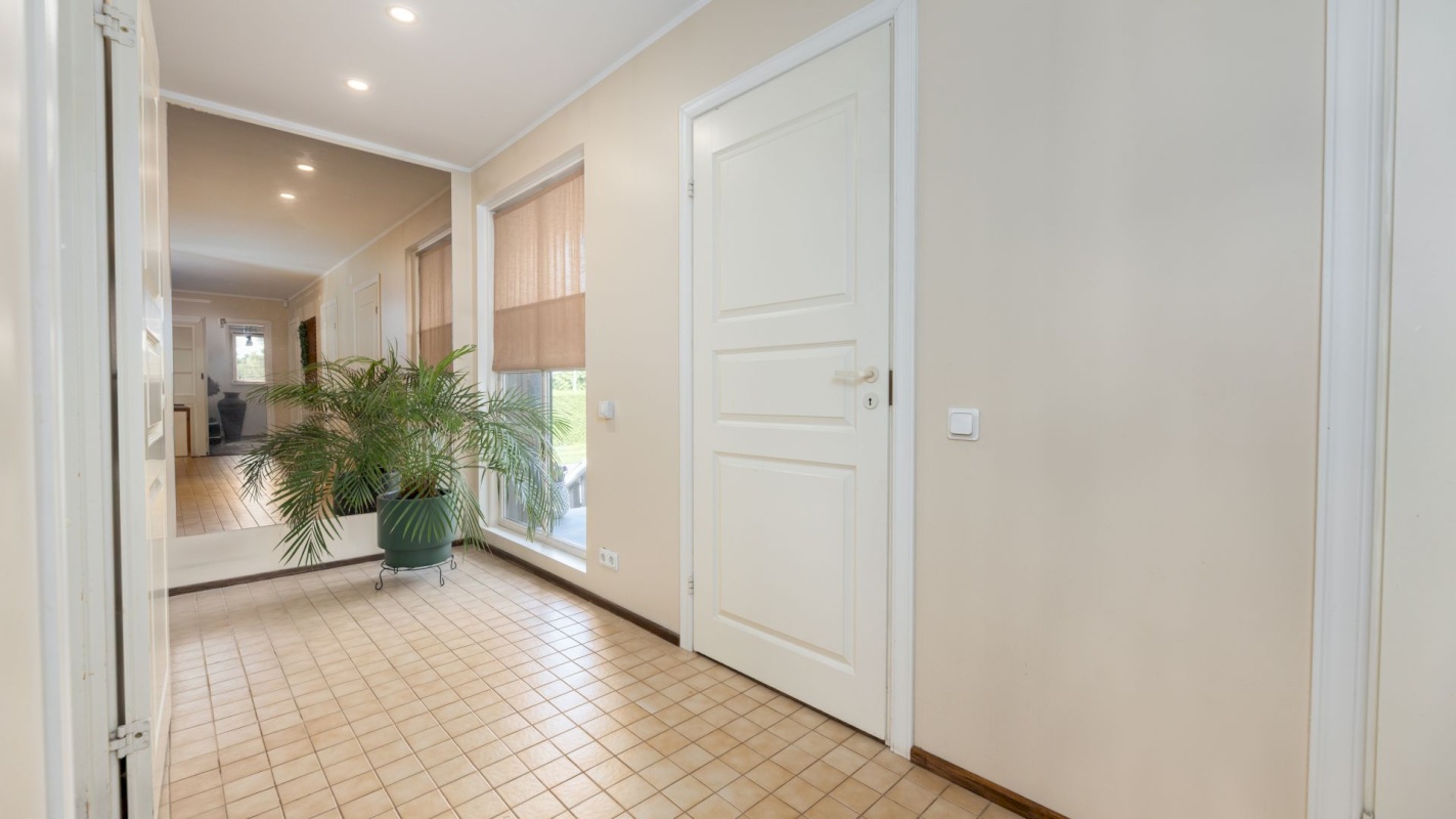 Viimsi vald, Viimsi alevik, Begoonia tee 7