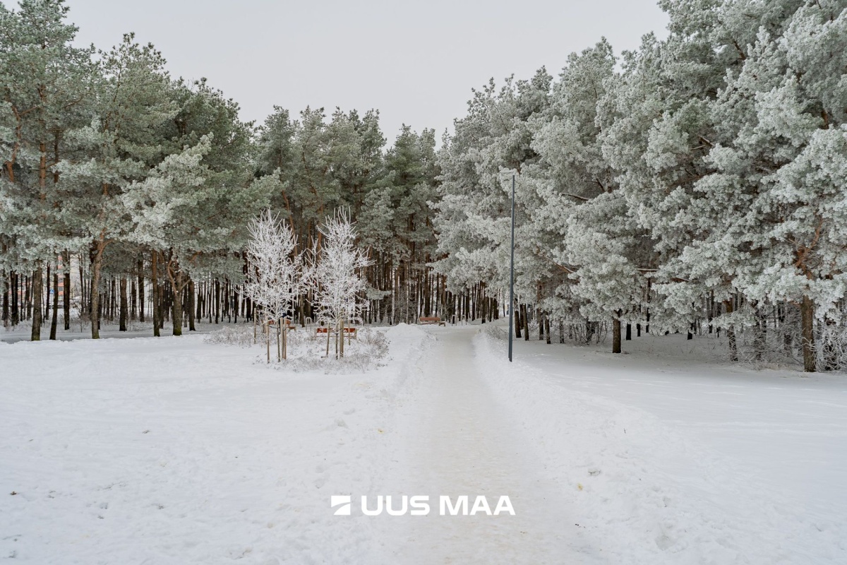 Tallinn, Lasnamäe linnaosa, Ümera 25