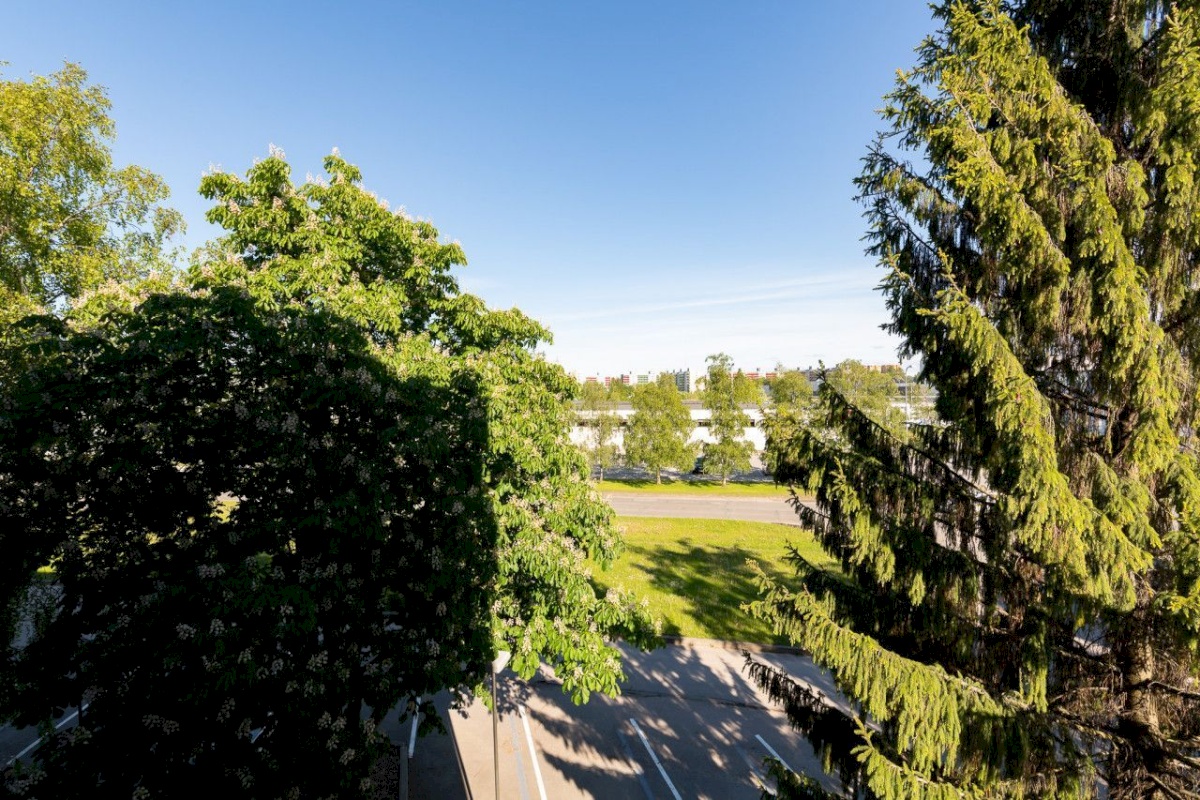 Tallinn, Mustamäe linnaosa, Sääse, Laki 24-318