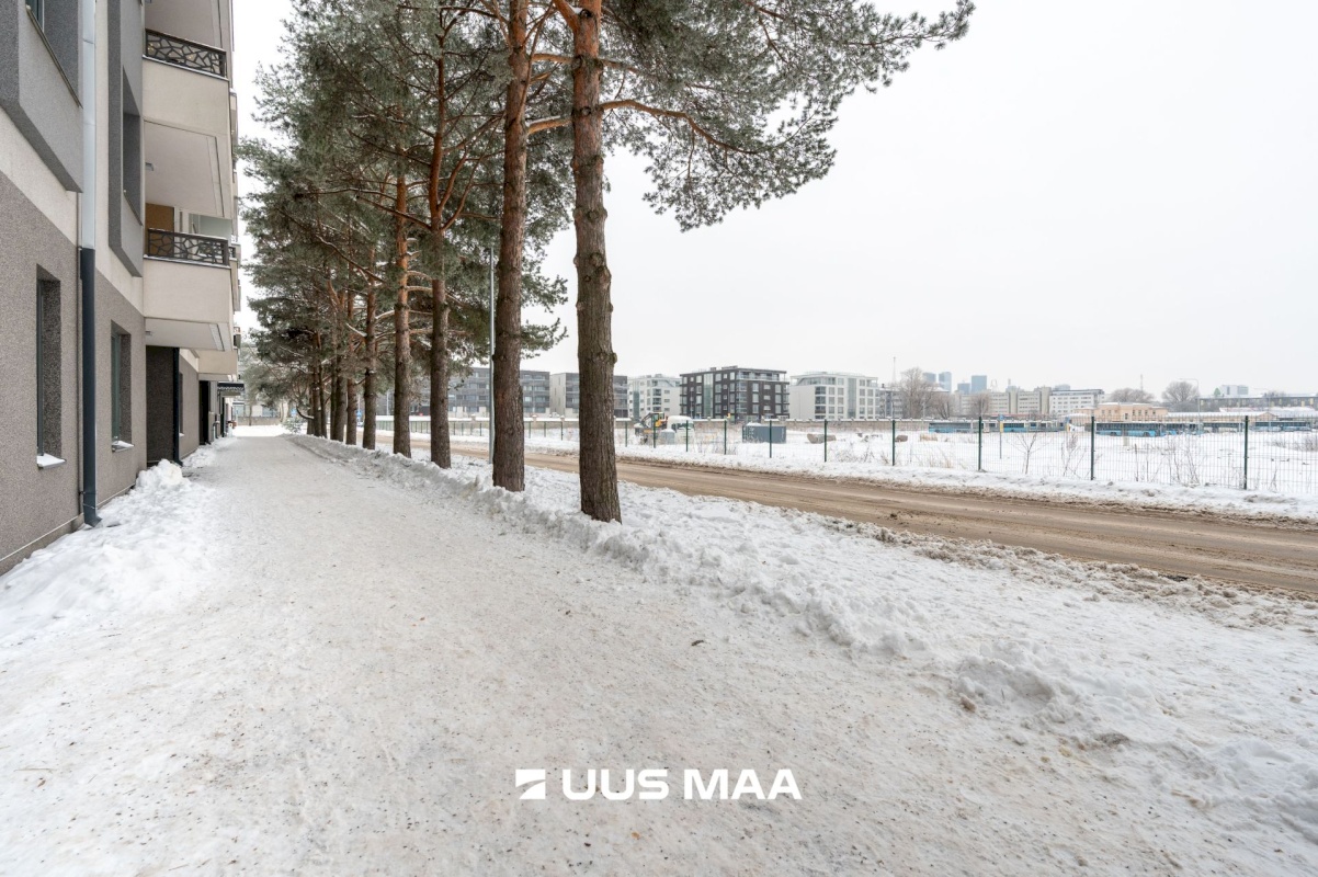 Tallinn, Kesklinna linnaosa, Kadriorg, Kiikri tn 3