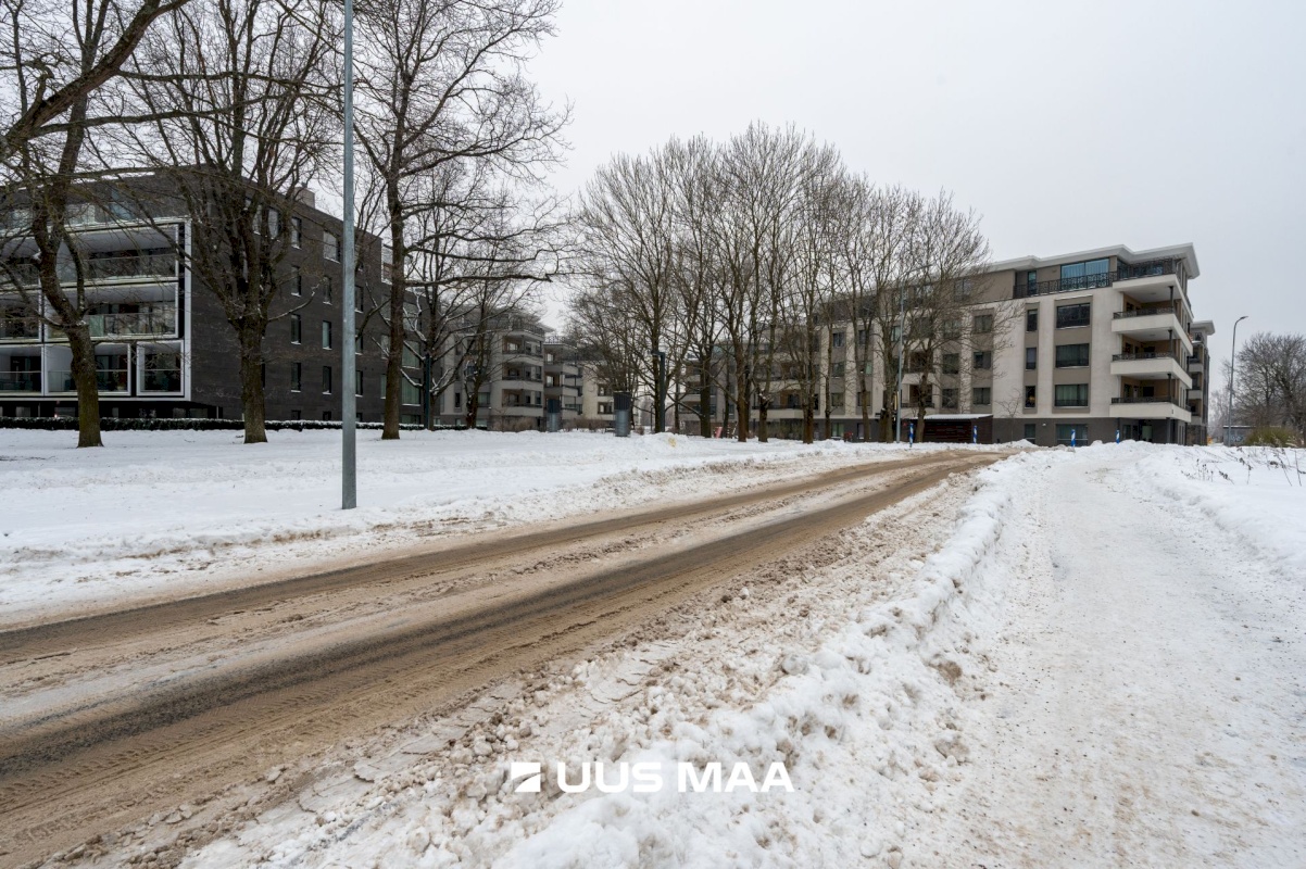 Tallinn, Kesklinna linnaosa, Kadriorg, Kiikri tn 3