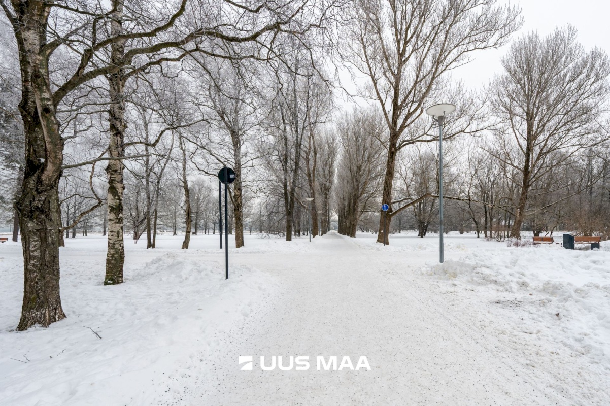 Tallinn, Kesklinna linnaosa, Kadriorg, Kiikri tn 3