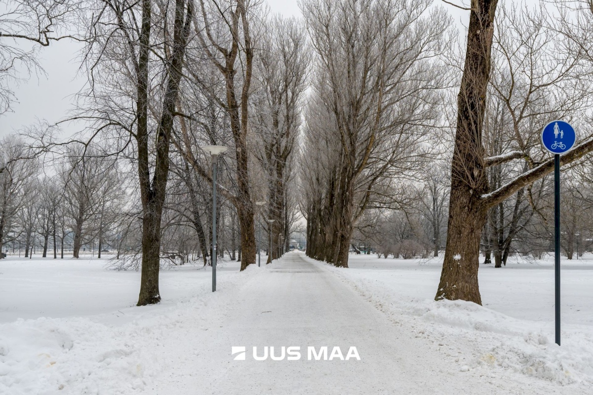 Tallinn, Kesklinna linnaosa, Kadriorg, Kiikri tn 3