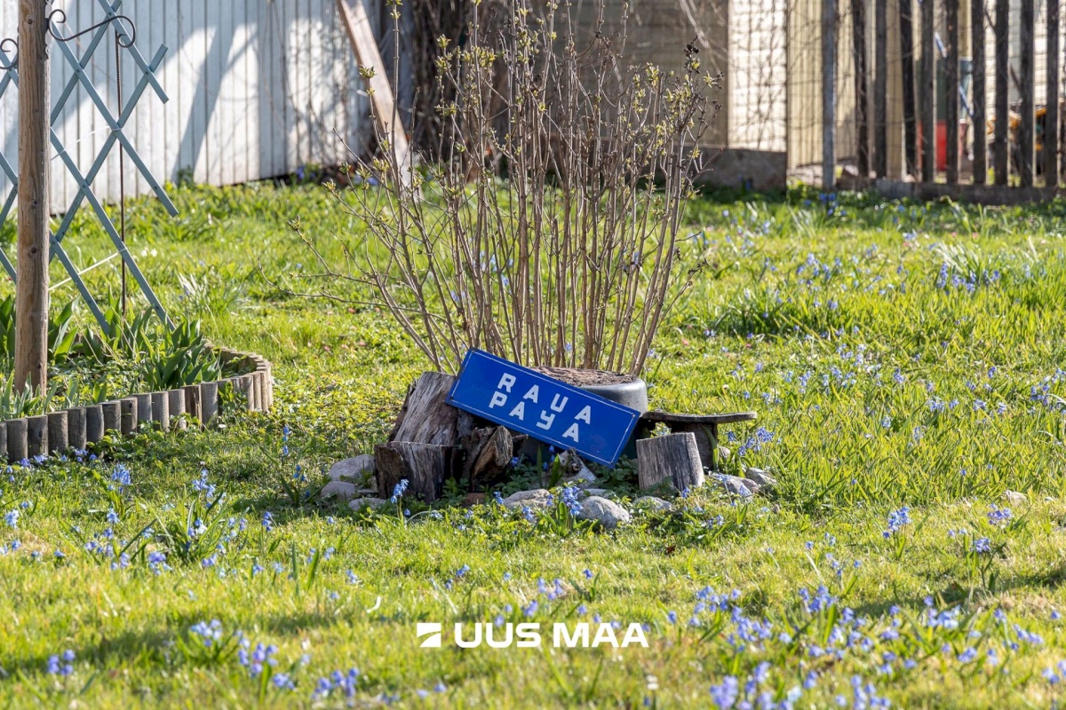 Tartu linn, Tartu linn, Karlova, Taga-Karlova, Raua 12