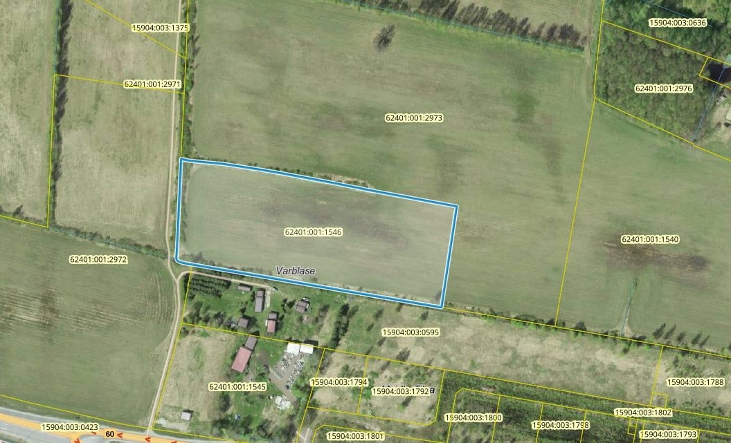 Pärnu linn, Papsaare küla