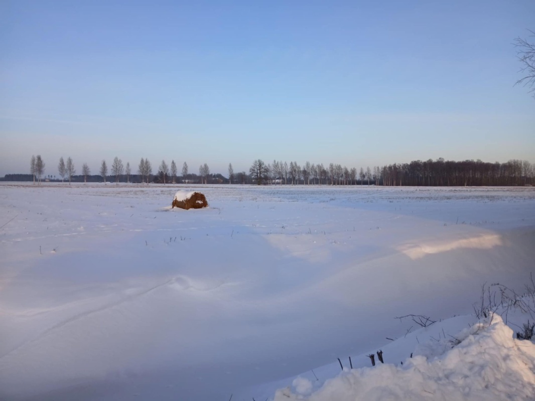 Pärnu linn, Papsaare küla