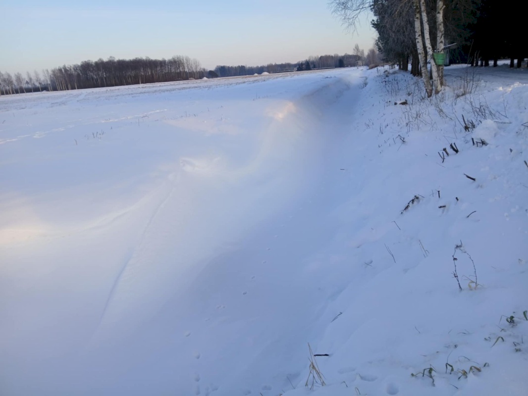 Pärnu linn, Papsaare küla