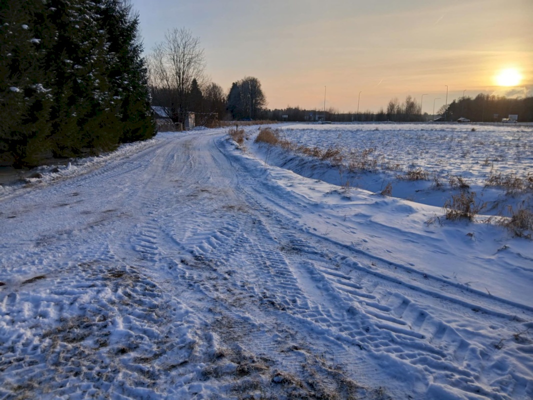 Pärnu linn, Papsaare küla