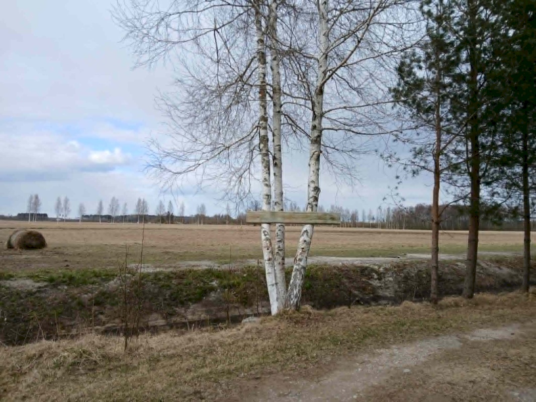 Pärnu linn, Papsaare küla