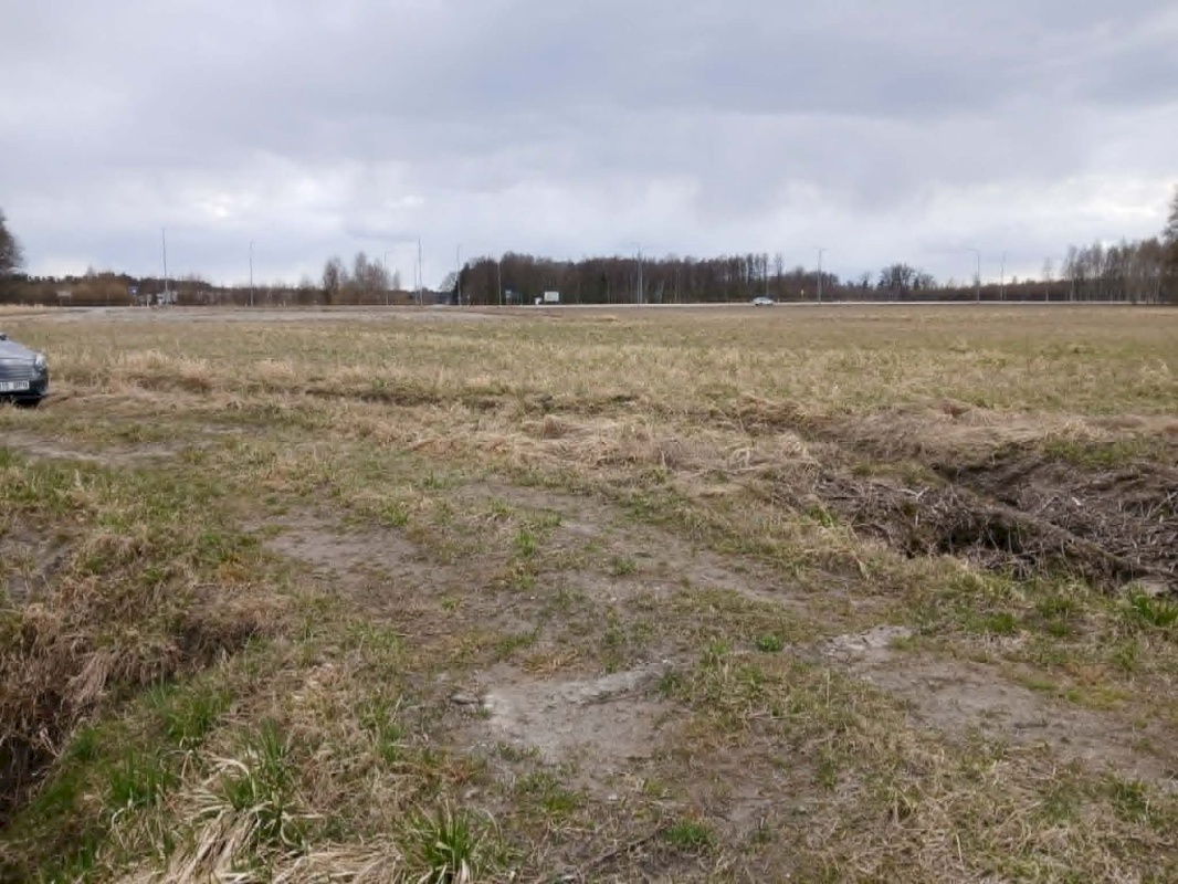 Pärnu linn, Papsaare küla