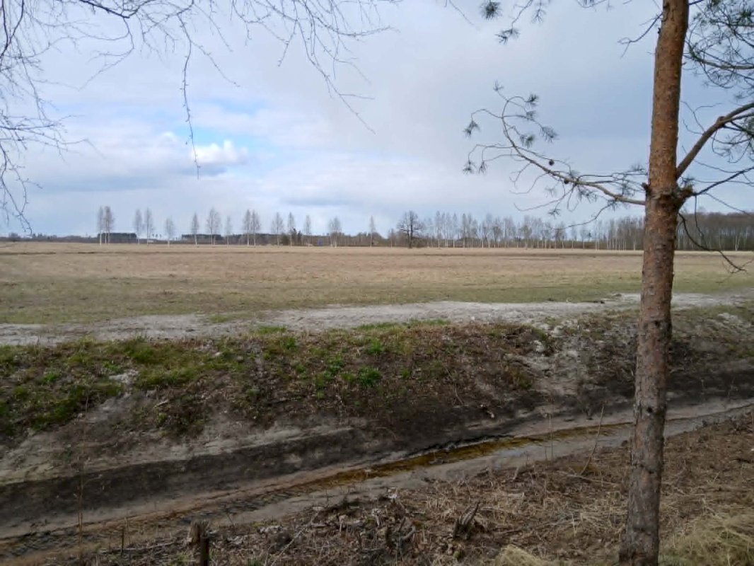 Pärnu linn, Papsaare küla