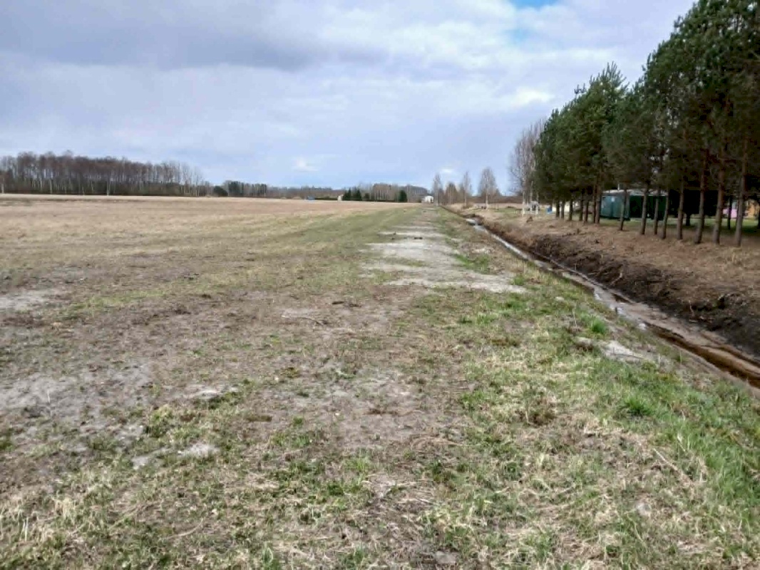 Pärnu linn, Papsaare küla