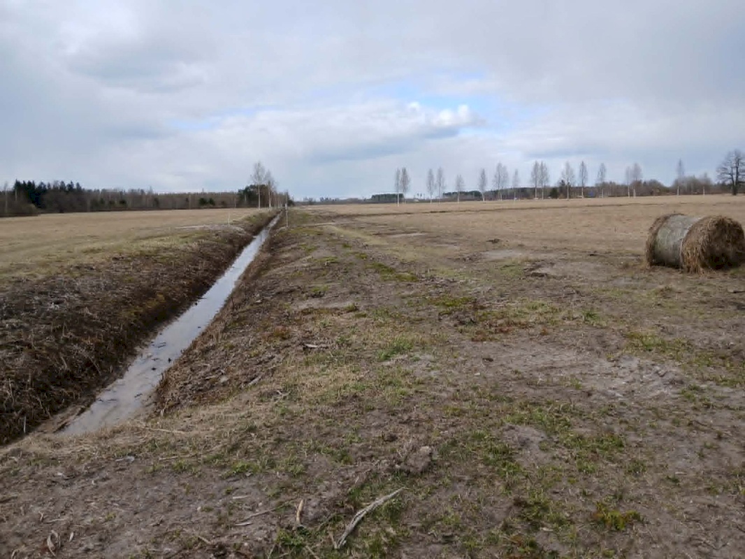 Pärnu linn, Papsaare küla