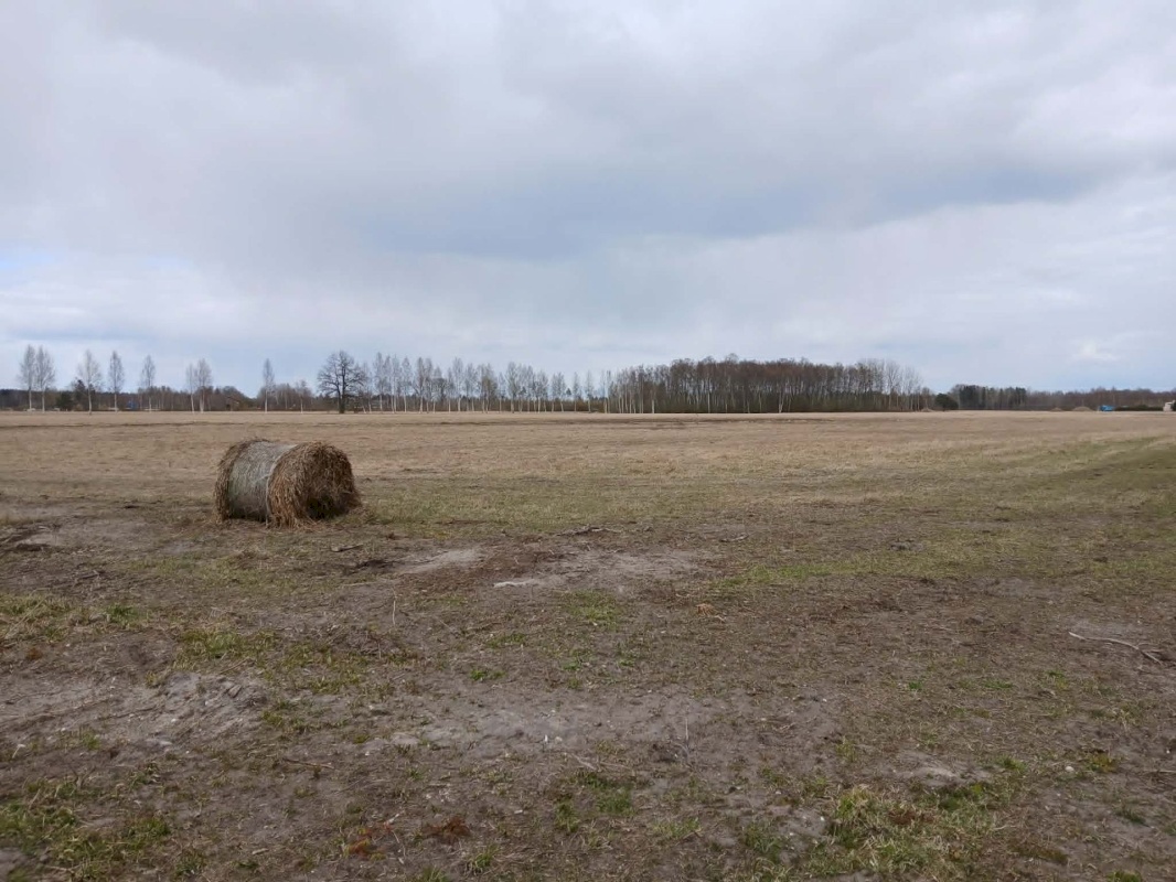 Pärnu linn, Papsaare küla