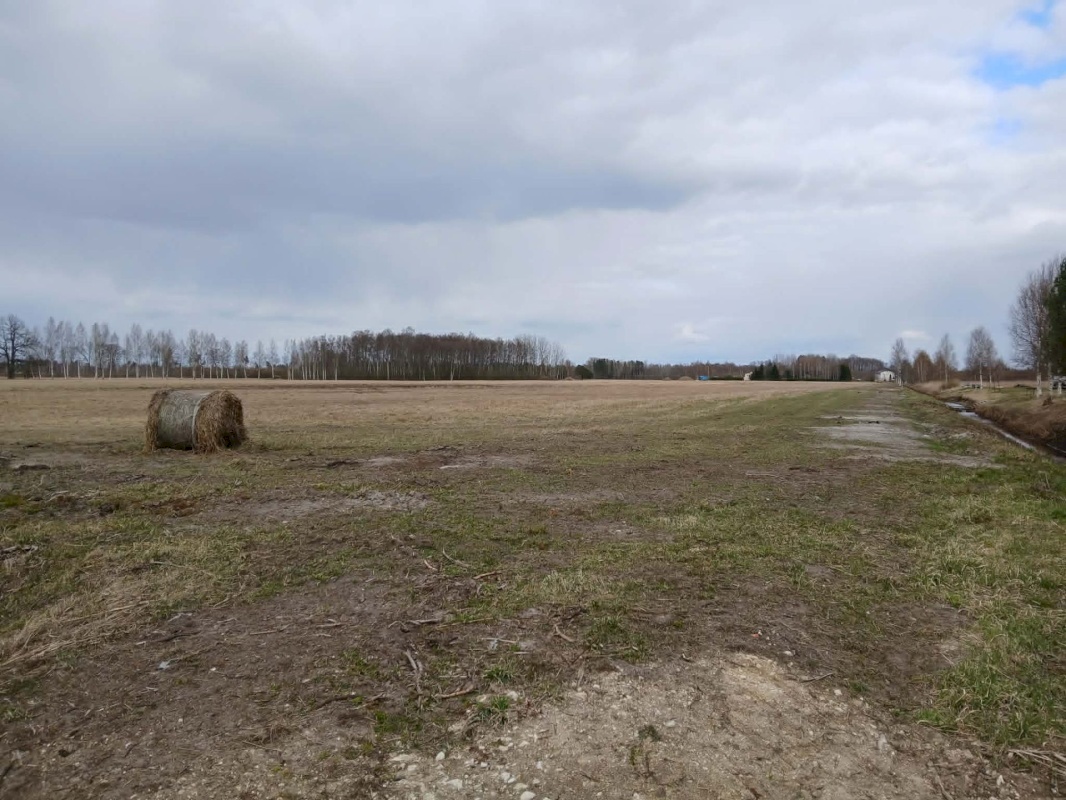 Pärnu linn, Papsaare küla