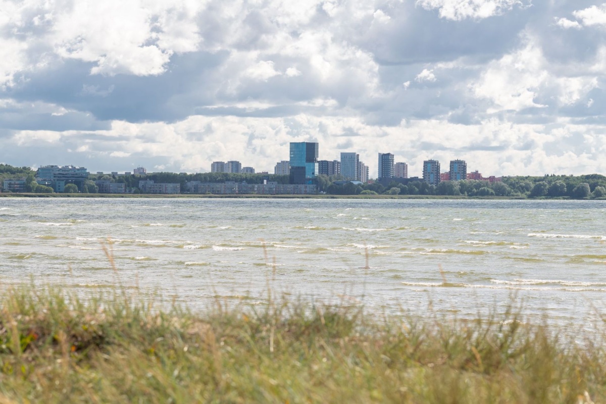 Tallinn, Põhja-Tallinna linnaosa, Pelguranna, Kari 24