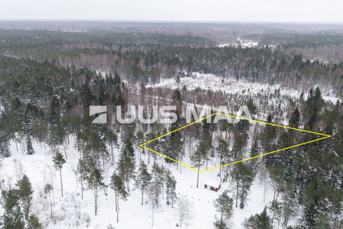 Lääne-Nigula vald, Elbiku küla/Ölbäck, Kasekaku