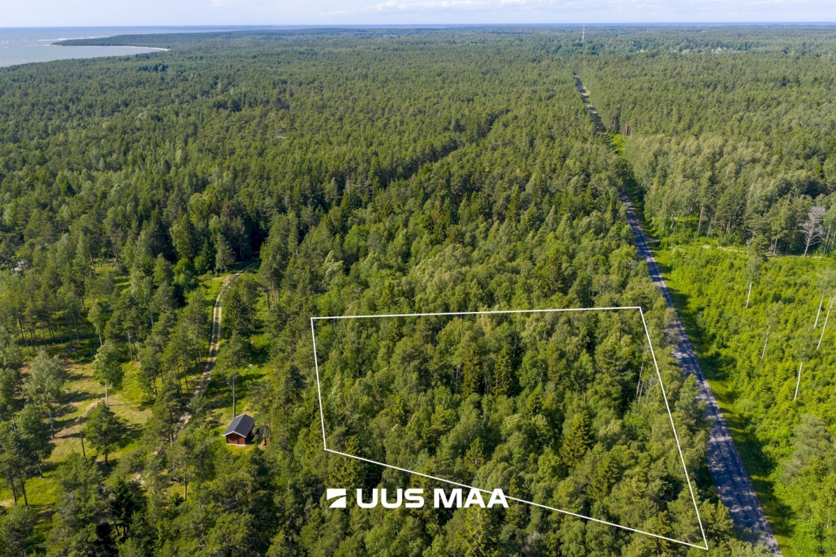 Lääne-Nigula vald, Elbiku küla/Ölbäck, Kasekaku