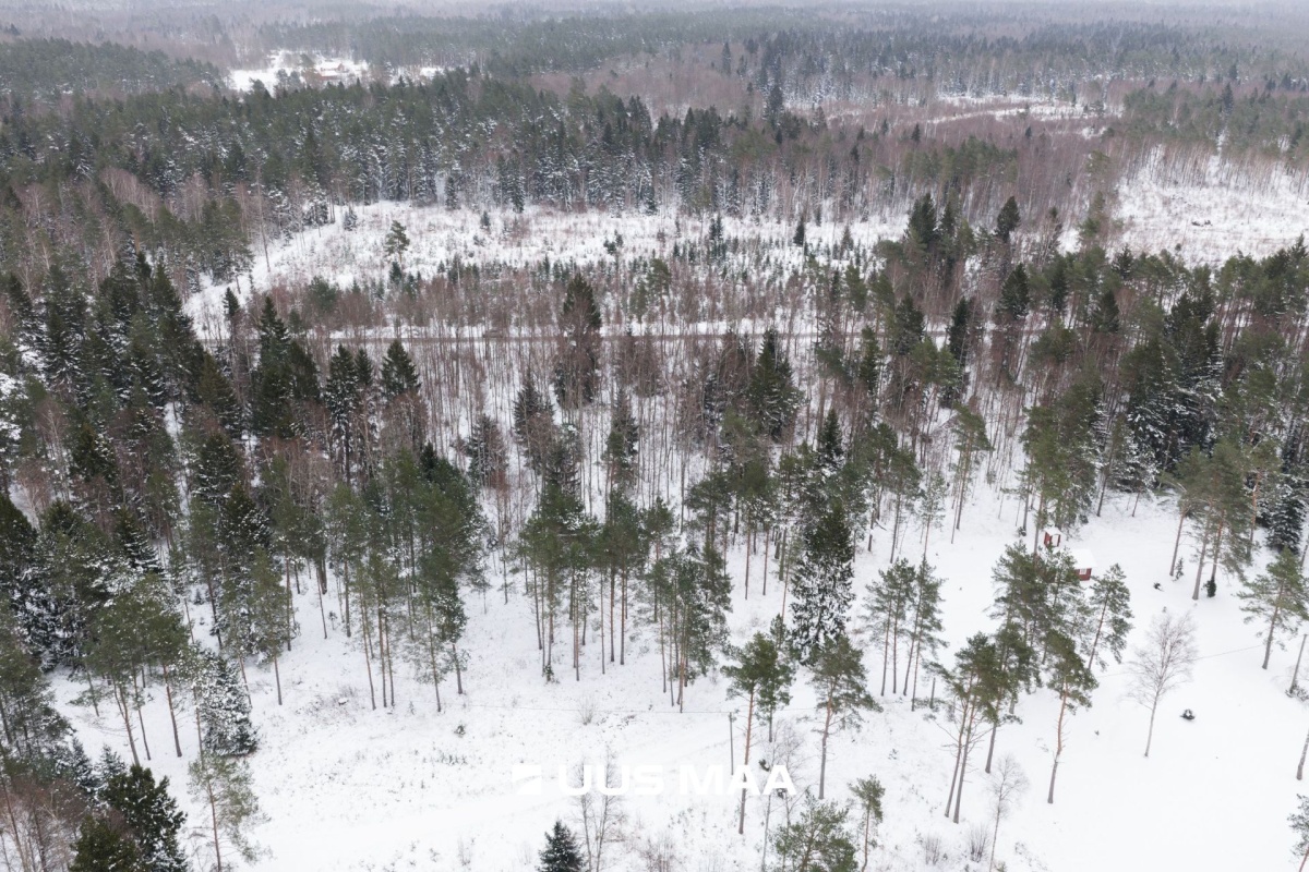 Lääne-Nigula vald, Elbiku küla/Ölbäck, Kasekaku