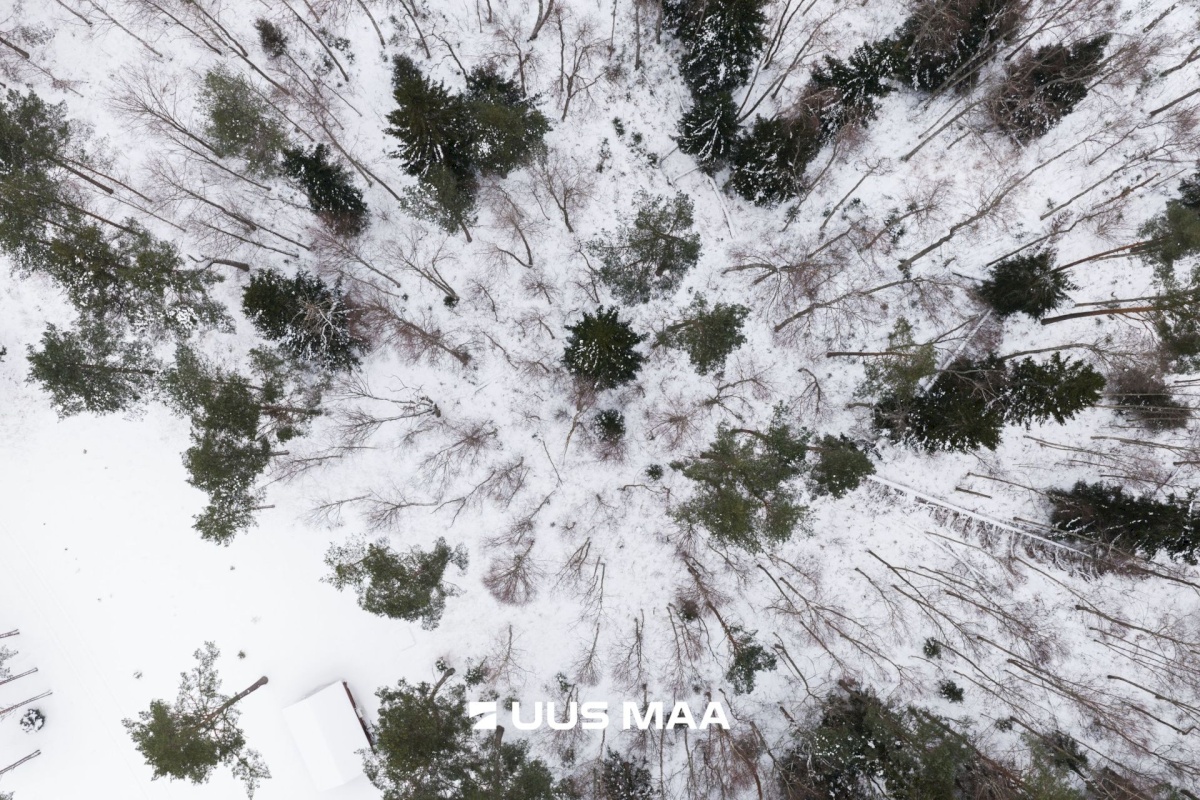 Lääne-Nigula vald, Elbiku küla/Ölbäck, Kasekaku