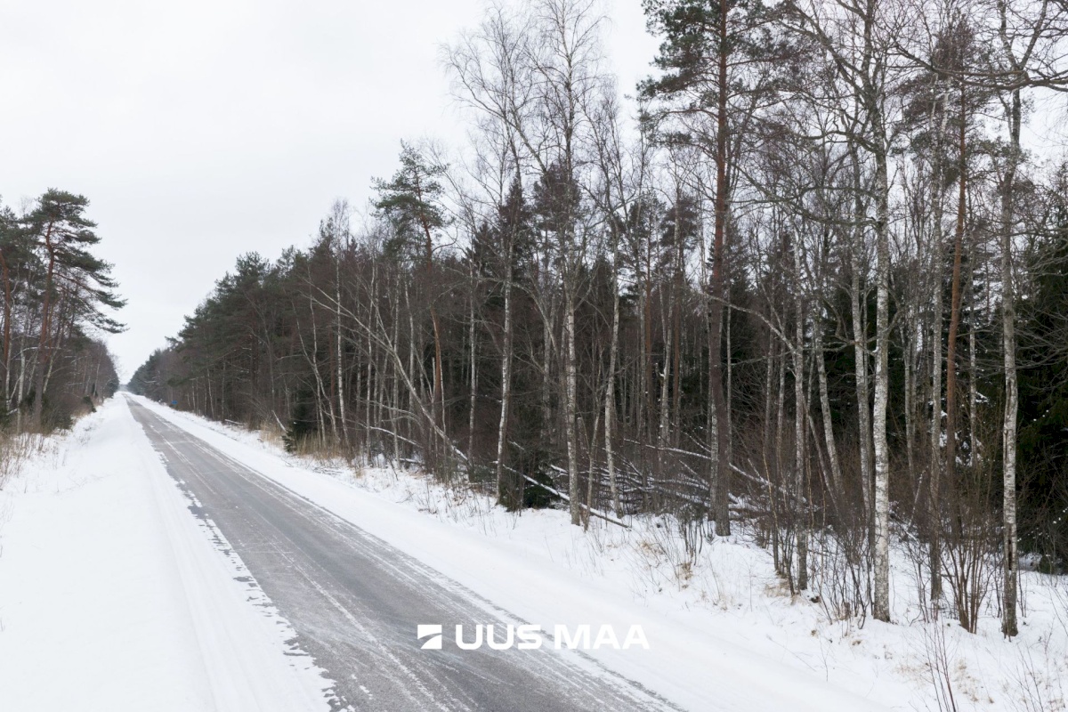 Lääne-Nigula vald, Elbiku küla/Ölbäck, Kasekaku