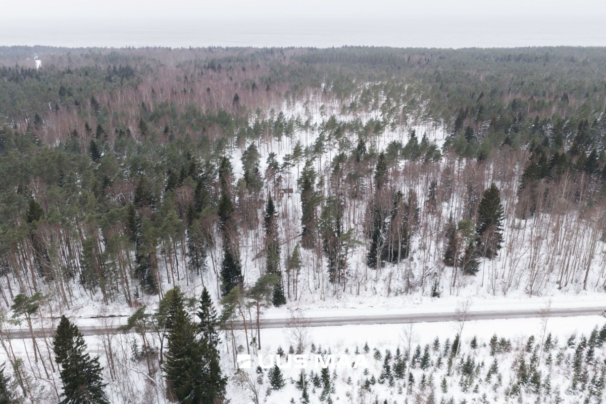 Lääne-Nigula vald, Elbiku küla/Ölbäck, Kasekaku