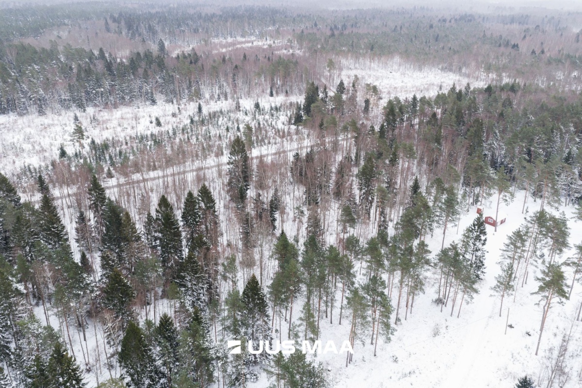 Lääne-Nigula vald, Elbiku küla/Ölbäck, Kasekaku