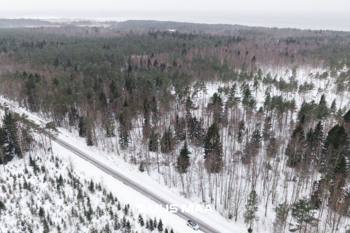 Lääne-Nigula vald, Elbiku küla/Ölbäck, Kasekaku