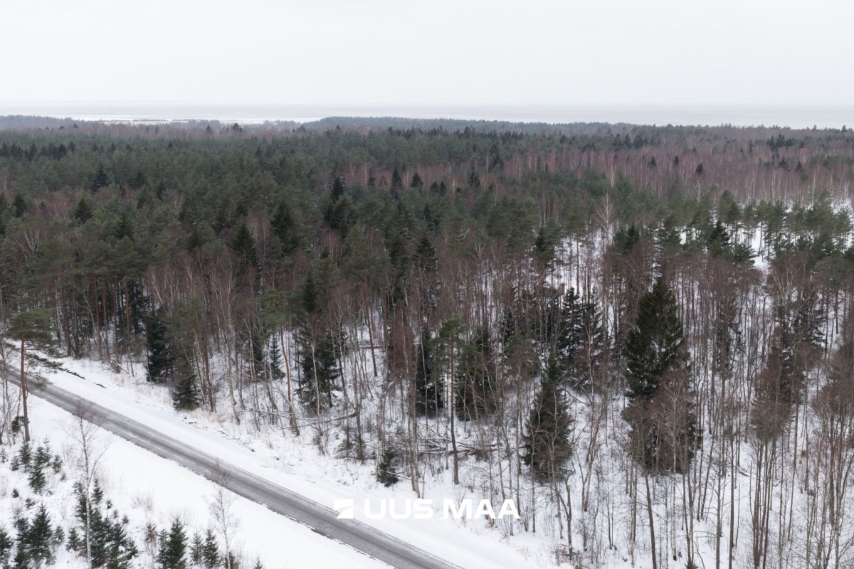 Lääne-Nigula vald, Elbiku küla/Ölbäck, Kasekaku