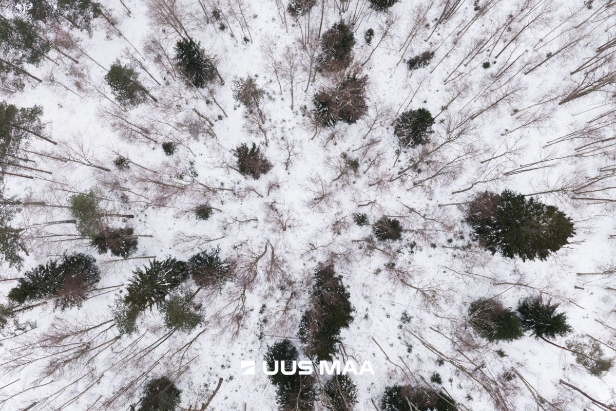 Lääne-Nigula vald, Elbiku küla/Ölbäck, Kasekaku