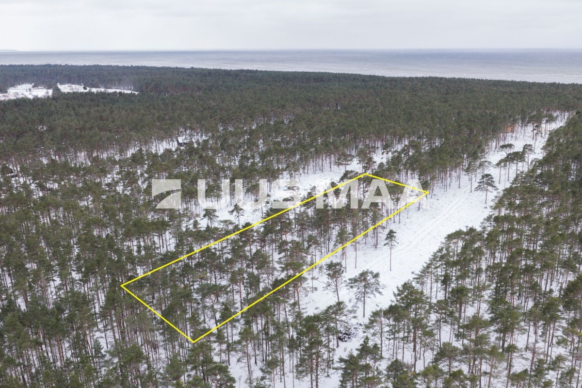 Lääne-Nigula vald, Rooslepa küla/Roslep