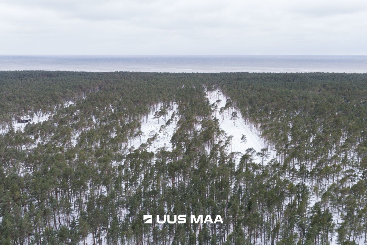 Lääne-Nigula vald, Rooslepa küla/Roslep