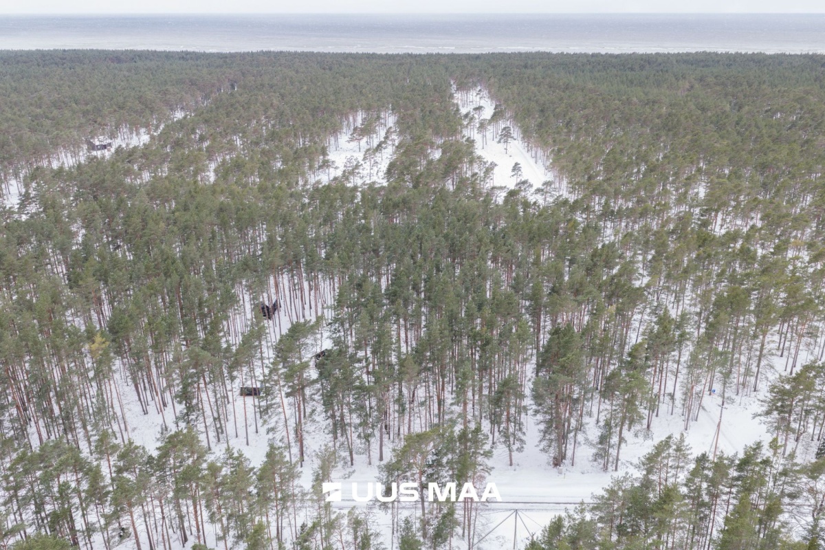 Lääne-Nigula vald, Rooslepa küla/Roslep