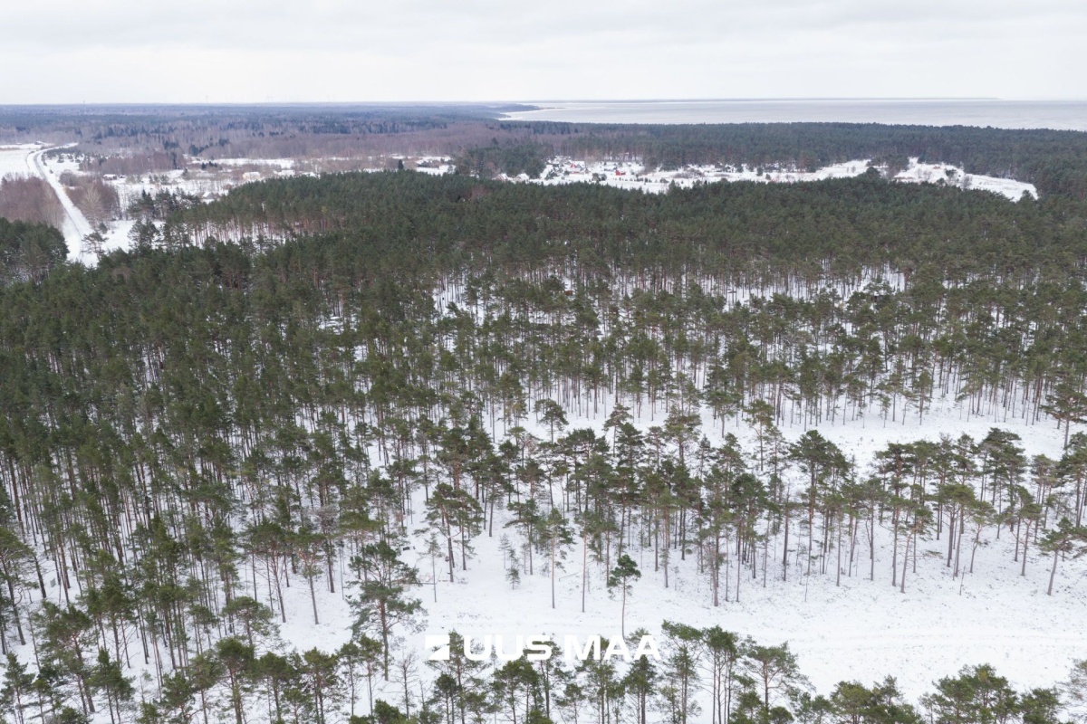 Lääne-Nigula vald, Rooslepa küla/Roslep