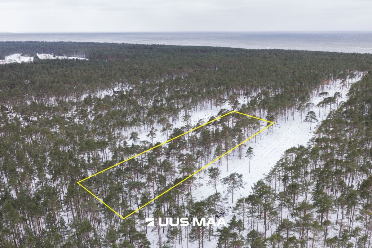 Lääne-Nigula vald, Rooslepa küla/Roslep