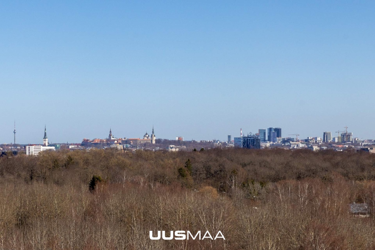 Tallinn, Haabersti linnaosa, Päevalille tn 6