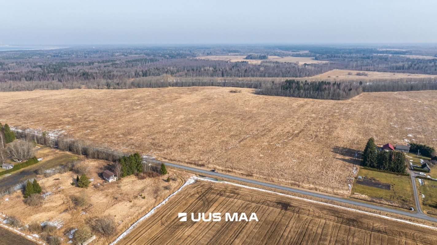 Lääne-Harju vald, Laane küla, Kasemetsa