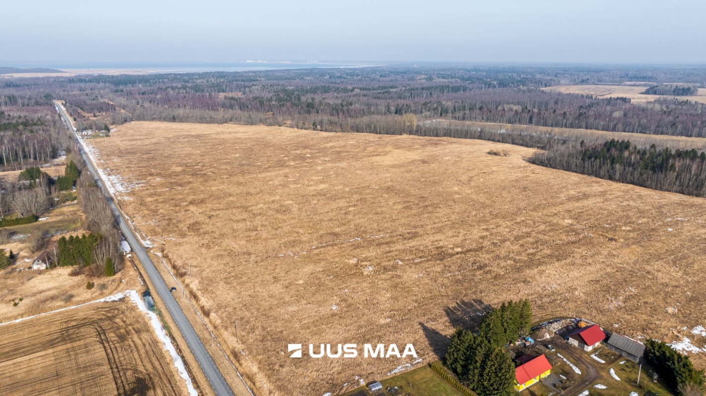 Lääne-Harju vald, Laane küla, Kasemetsa