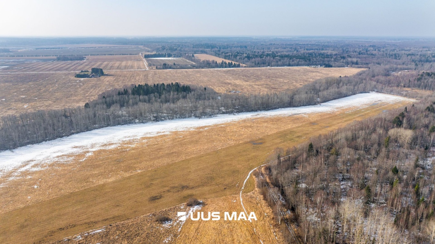 Lääne-Harju vald, Laane küla, Kasemetsa